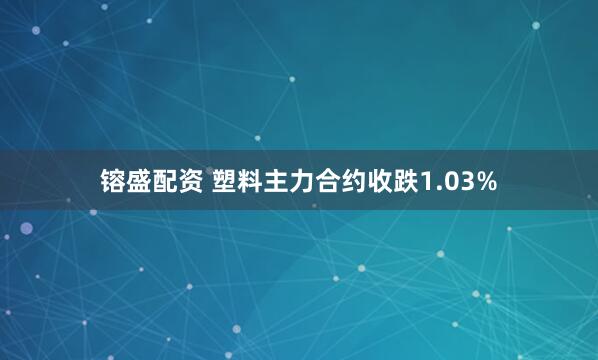 镕盛配资 塑料主力合约收跌1.03%