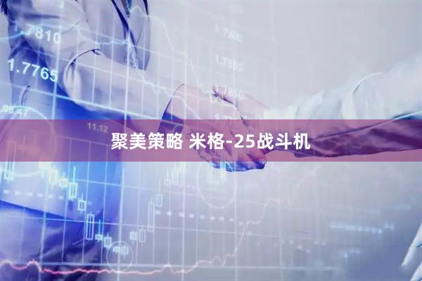 聚美策略 米格-25战斗机