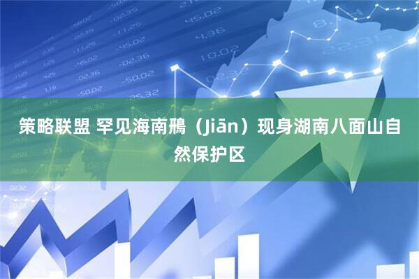 策略联盟 罕见海南鳽（Jiān）现身湖南八面山自然保护区
